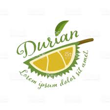 King Of Fruits Durian Vector Illustration Durian Vector Illustration Fruit Logo