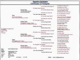 percivals blog free pedigree chart for horses