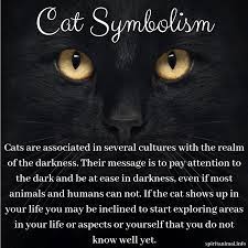 Cat Spirit Animal Totem Cat Spirit Cat Spirit Animal Animal Totem Spirit Guides
