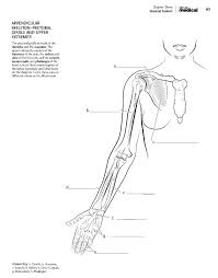 Printable Anatomy Worksheets Coloring Book Coloring Booke Anatomy Line Saunders In 2020 Anatomy Coloring Book Coloring Books Coloring Book Set