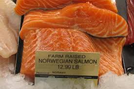 farm raised salmon vs wild salmon difference and