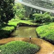 I've not just listed the places, but also given other information like cost details, best time to visit. 27 Most Instagrammable Places In Selangor
