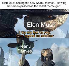Amateur Meme Maker How D I Do Memes