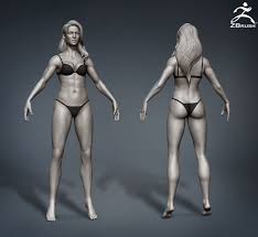 The four women body types are each completely different. 3d Female Body