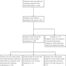 flow chart for selection and grouping of the participants