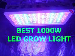 Reviews · best of 2021 · ratings · affordable 10 Best 1000w Led Grow Light 2021 For Grow Room Review