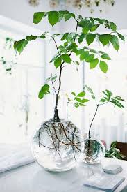 24 Of The Most Beautiful Ideas On Indoor Mini Garden To Collect Homesthetics Inspiring Ideas For Your Home Plants Best Indoor Plants Indoor Plants