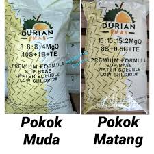 Pokok durian kurang terima sinaran matahari. Hot Item Baja Khas Untuk Pokok Durian 25kg Beg Shopee Malaysia
