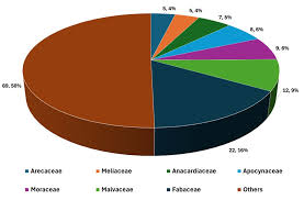 Image result for Strephonema mannii