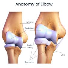Image result for Elbow Joint Injection