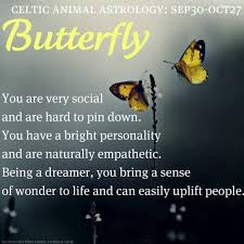 Celtic Animal Astrology Sept 30 Oct27 Celtic Animals Astrology Butterfly Spirit Animal