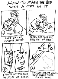 Using the guidelines, draw the eyes, nose, whiskers, and mouth of the cat, and add 2 triangles on the top of the circle for ears. How To Make The Bed With A Cat In It Drawing By Molly Brandenburg
