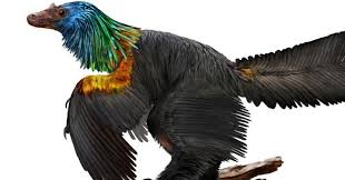 Warna dapat membantu pekerja menentukan klasifikasi bahaya di area kerja. Fosil Dinosaurus Berbulu Warna Warni Ditemukan Okezone Techno