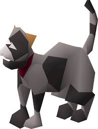 When a kitten gets hungry, players receive a series of messages in their chat box alerting them. Kitten Osrs Wiki