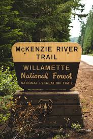 Horse creek lodge & outfitters provides shuttles for hikers and bikers on the mckenzie river trail and o'leary trail, and they rent and repair bikes. Your Guide To Hiking The Mckenzie River Trail Oregon Is For Adventure