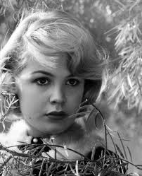 Picture wasn't dated, but Uncle Buddy died 1958, and Granddaddy Lee passed  in 1962, so I would guess circa 1960. Sandra Baxley Taylor