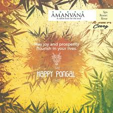 Pin By Amanvana Spa Resort Coorg On Amanvana Eight Island Luxury Resort Resort In Coorg Luxury Spa Resort Best Resorts Top Resorts