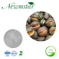 Image result for Voacanga chalotiana