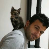 30+ profili “Tom”