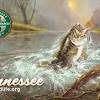 A resident trout permit also must be purchased to retain trout or to fish in certain waters. 1
