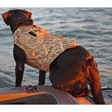 Avery Boaters Dog Parka