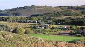 Grassland definition, an area, as a prairie, in which the natural vegetation consists largely of perennial grasses, characteristic of subhumid and semiarid climates. Grassland Habitats Theschoolrun
