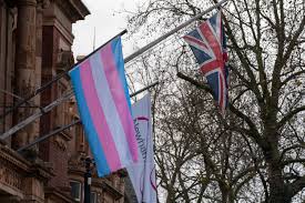 Shows as a plain text character on other platforms. The Trans Flag Flown To Recognise Trans Day Of Remembrance At Newham S Town Halls Newham Council