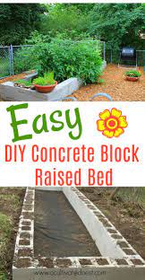 Diy Raised Bed Using Concret Blocks Vegetable Gardening Building A Raised Garden Vegetable Garden Raised Beds Building Raised Garden Beds