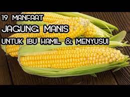 Dalam jagung rebus mengandung banyak nutrisi penting yang dibutuhkan tubuh seperti vitamin c, vitamin b12, vitamin e, vitamin a, serat dalam jagung manis rebus mengandung vitamin b yang berguna untuk mengatur protein, karbohidrat dan juga lipid serta fitokimia dalam pelepasan insulin. Manfaat Jagung Rebus Untuk Ibu Hamil