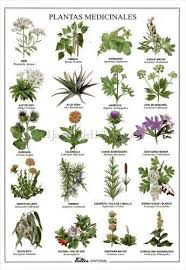 Luis Sinche (eduardosinche0589)