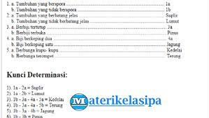 Maybe you would like to learn more about one of these? Cara Membuat Kunci Determinasi Beserta Contohnya
