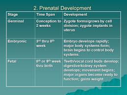 chapter 4 prenatal development ppt video online download