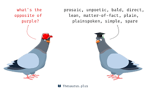 16 Purple Antonyms Full List Of Opposite Words Of Purple