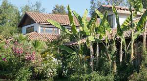 Image result for tbn:Qm8QJA0FQGkeJM::www.trekkingchile.com/Images/mis_fotos/1201890604.jpg