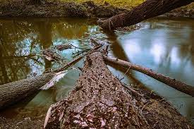 What Is A Strainer On A River And Why Is It Dangerous