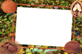 Download desain templat word bingkai hari ini. Download Bingkai Untuk Edit Foto