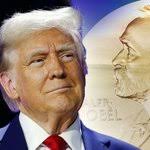 Stephen Hadden Cummins 8 Q (@Stephen33934361)