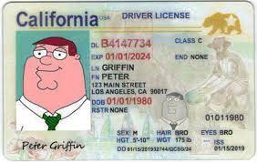 Our stores follow the recommended u.s. Fake License Fake Driver License Us Novelty Id Card In United States Hologram Id Card