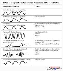 Respiratory Patterns Nursing School Scholarships Nurse Teaching Icu Nursing