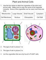 We did not find results for: Plant And Animal Cells Online Exercise