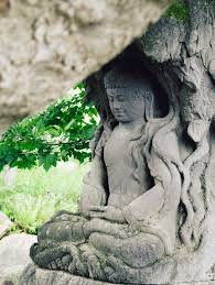 If You Meet The Buddha On The Road Kill Him Lion S Roar