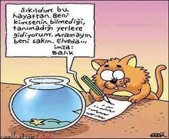 veda mektubu mizah karikatur komik