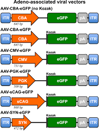 Image result for Dark Hunter Green 1997 AAV
