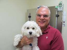 Francis believed that people have a duty to promote. St Francis Pet Clinic Ca The Y Guide