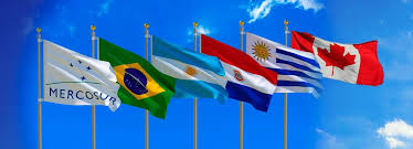 O número de pessoas recuperadas é de 17,08 milhões. Common Market On The Way Camara De Comercio Brasil Canada