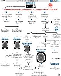 Image result for Coma Exam