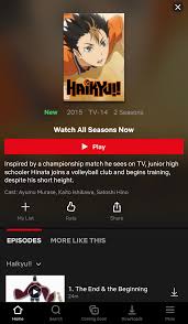 Haikyu Subbed And Dubbed On Netflix Animedubs To the top / волейбол!