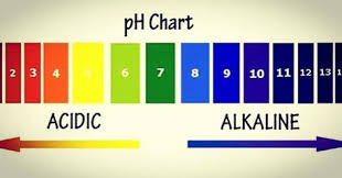 Ph Balance Of Your Body Duolife Ireland Uk