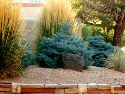 They removed a 60+ foot blue spruce from my brooklyn backyard and moved it through a ground floor apartment without a trace. 26 Front Yard Landscape Ideas Front Yard Landscape Front Yard Landscaping