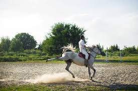 Bugünkü yazımızda galop çalışmalarında yapılan yanlışları ve nasıl doğru analiz edileceğini ele alacağız… Galop Stock Photo Image Of Speed Galloping Beauty Girl 2542186